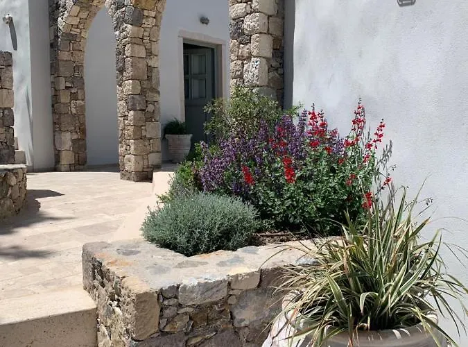 Anamnezia Luxury (adults Only) *