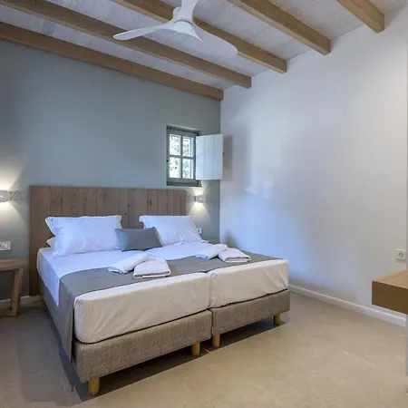 Anamnezia Luxury Vilă *