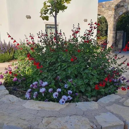 Villa Anamnezia Luxury (adults Only)