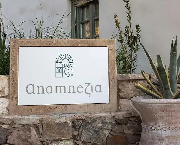 Anamnezia Luxury (adults Only) *