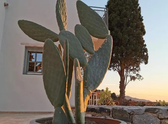 Anamnezia Luxury Villa *