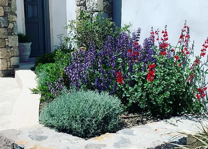 Anamnezia Luxury Villa *